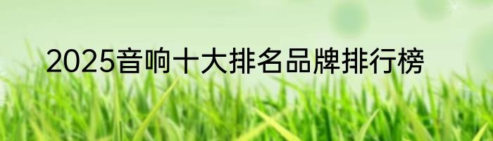 2025音响十大排名品牌排行榜