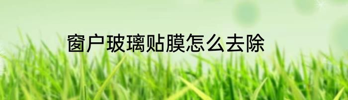 窗户玻璃贴膜怎么去除