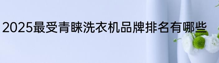 2025最受青睐洗衣机品牌排名有哪些