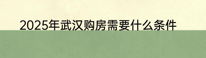 2025年武汉购房需要什么条件