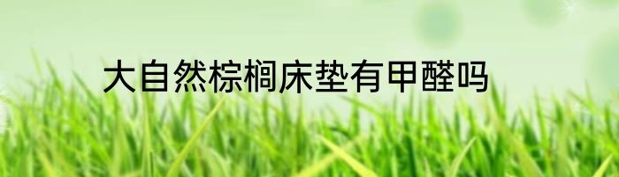 大自然棕榈床垫有甲醛吗