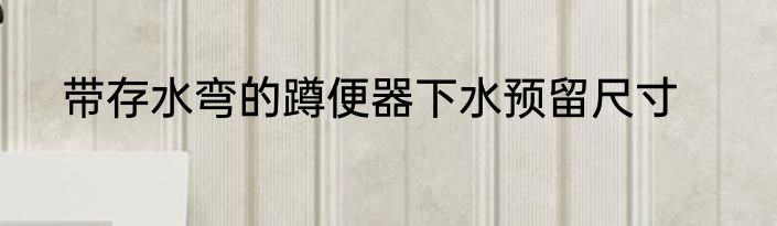 带存水弯的蹲便器下水预留尺寸