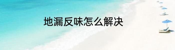 地漏反味怎么解决