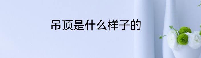 吊顶是什么样子的