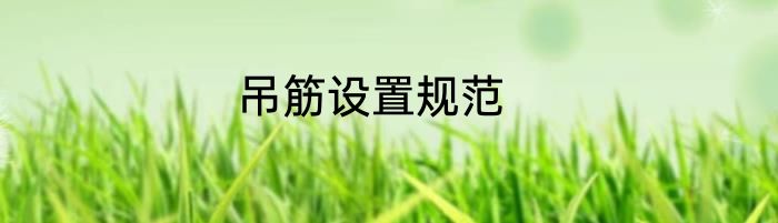 吊筋设置规范
