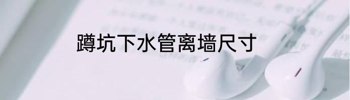 蹲坑下水管离墙尺寸