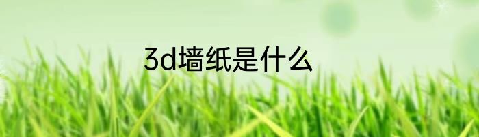 3d墙纸是什么