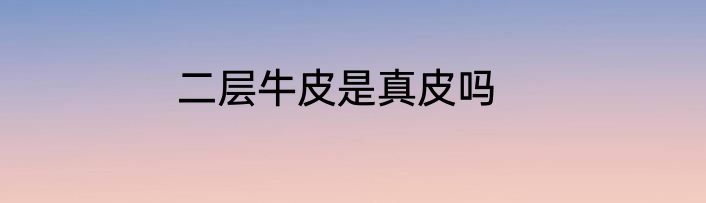 二层牛皮是真皮吗