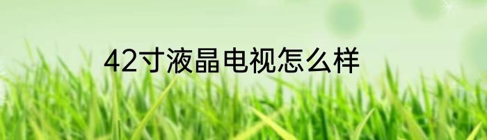 42寸液晶电视怎么样