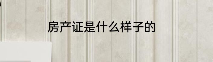 房产证是什么样子的