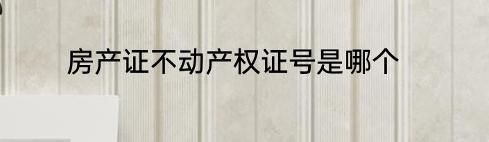 房产证不动产权证号是哪个