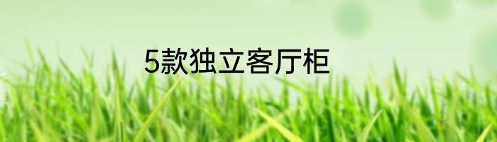 5款独立客厅柜