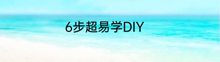 6步超易学DIY
