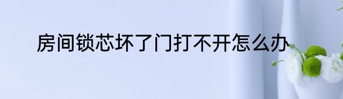 房间锁芯坏了门打不开怎么办