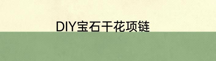 DIY宝石干花项链