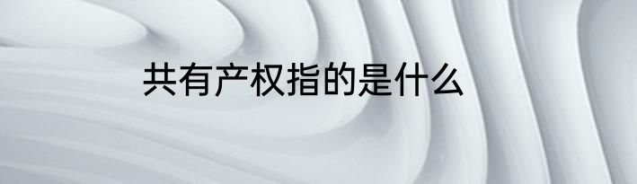 共有产权指的是什么