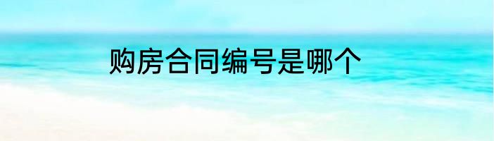 购房合同编号是哪个