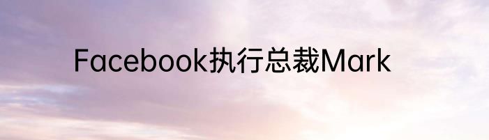 Facebook执行总裁Mark