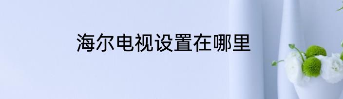 海尔电视设置在哪里