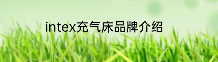 intex充气床品牌介绍