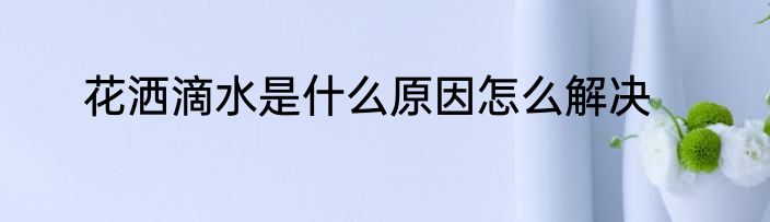 花洒滴水是什么原因怎么解决