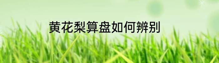黄花梨算盘如何辨别