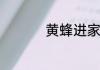 黄蜂进家里有什么寓意