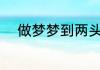 做梦梦到两头蛇了!这代表什么呢