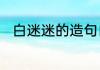 白迷迷的造句白迷迷的造句是什么
