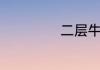 二层牛皮是真皮吗