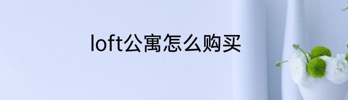 loft公寓怎么购买