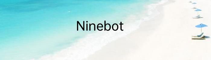 Ninebot