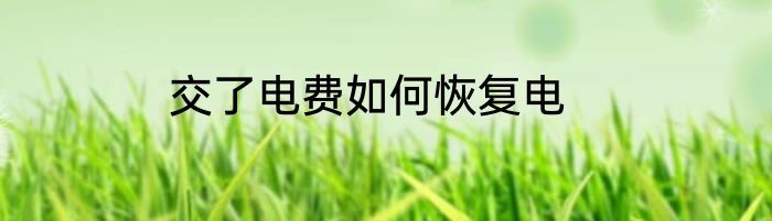 交了电费如何恢复电
