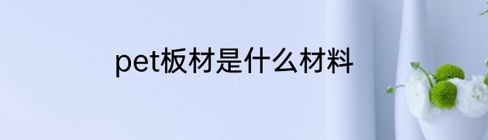 pet板材是什么材料