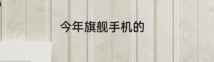 今年旗舰手机的