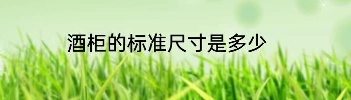 酒柜的标准尺寸是多少