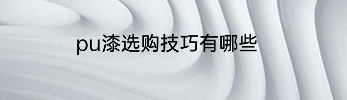 pu漆选购技巧有哪些