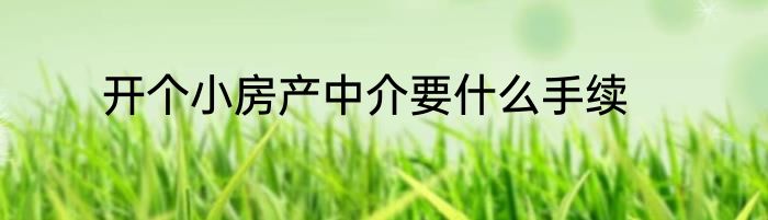 开个小房产中介要什么手续