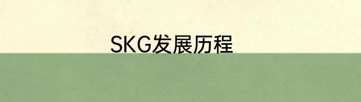 SKG发展历程