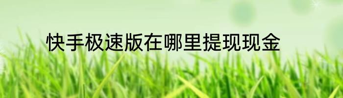 快手极速版在哪里提现现金