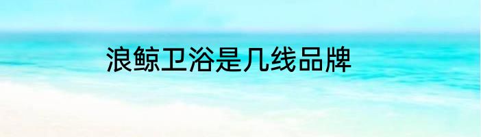 浪鲸卫浴是几线品牌