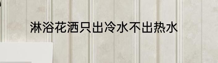 淋浴花洒只出冷水不出热水