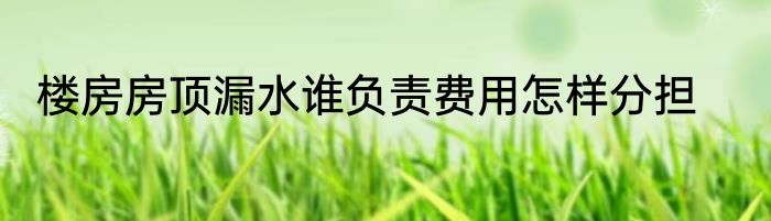 楼房房顶漏水谁负责费用怎样分担