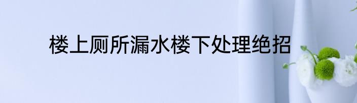 楼上厕所漏水楼下处理绝招