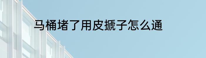 马桶堵了用皮搋子怎么通
