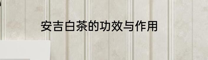 安吉白茶的功效与作用