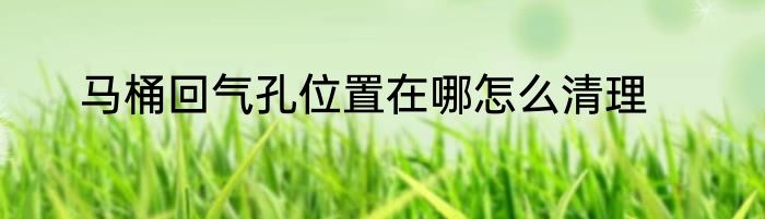 马桶回气孔位置在哪怎么清理