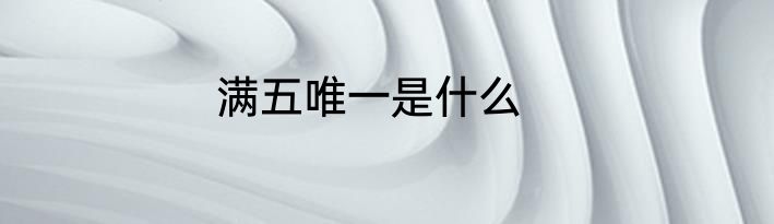 满五唯一是什么