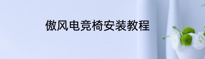 傲风电竞椅安装教程