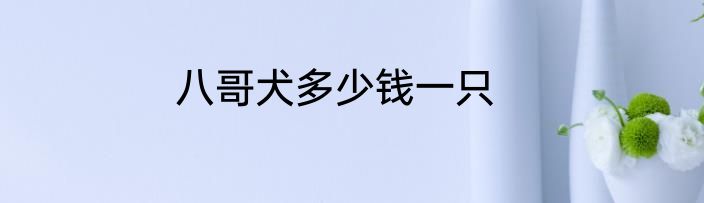 八哥犬多少钱一只